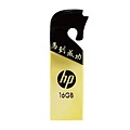 TB lưu trữ DD 16G HP V219G - USB 2.0